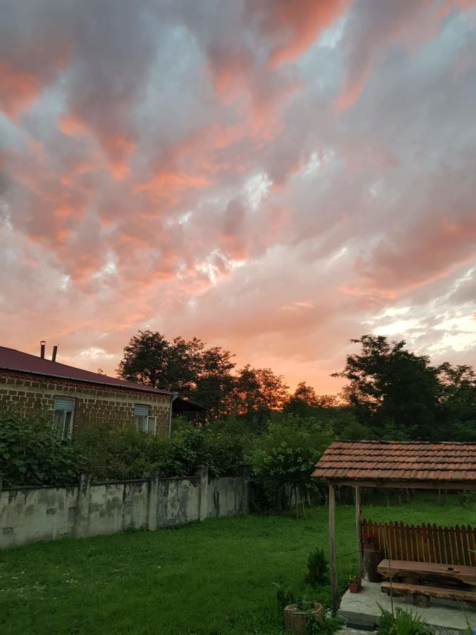 Martvili Newhotel Buitenkant foto